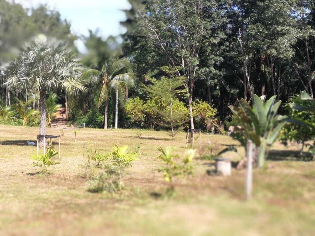 Palm Garden House Lejlighed Ko Lanta Eksteriør billede
