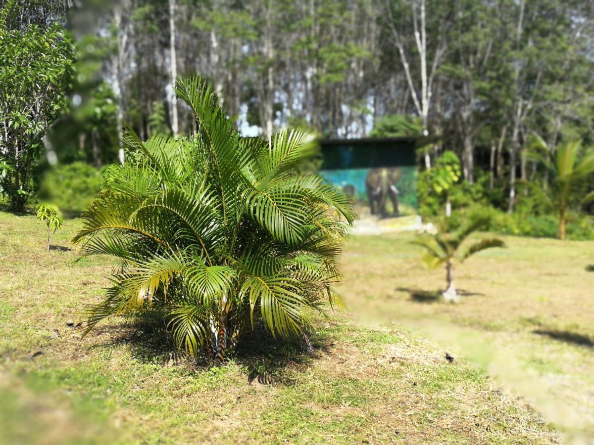Palm Garden House Lejlighed Ko Lanta Eksteriør billede