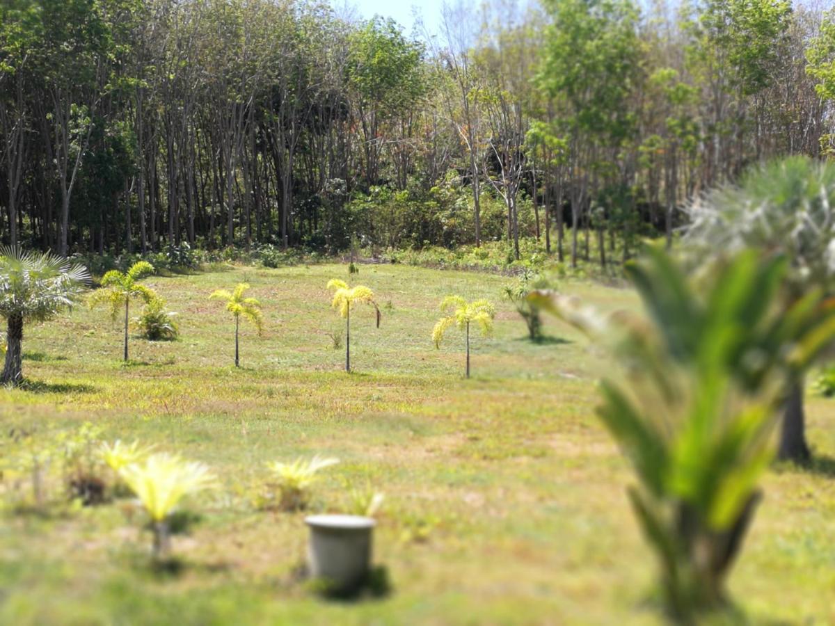 Palm Garden House Lejlighed Ko Lanta Eksteriør billede